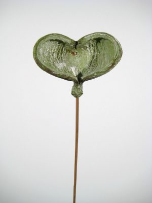 Badam angestielt grün gefrostet