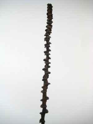 Bananenstiel natur (35+cm)