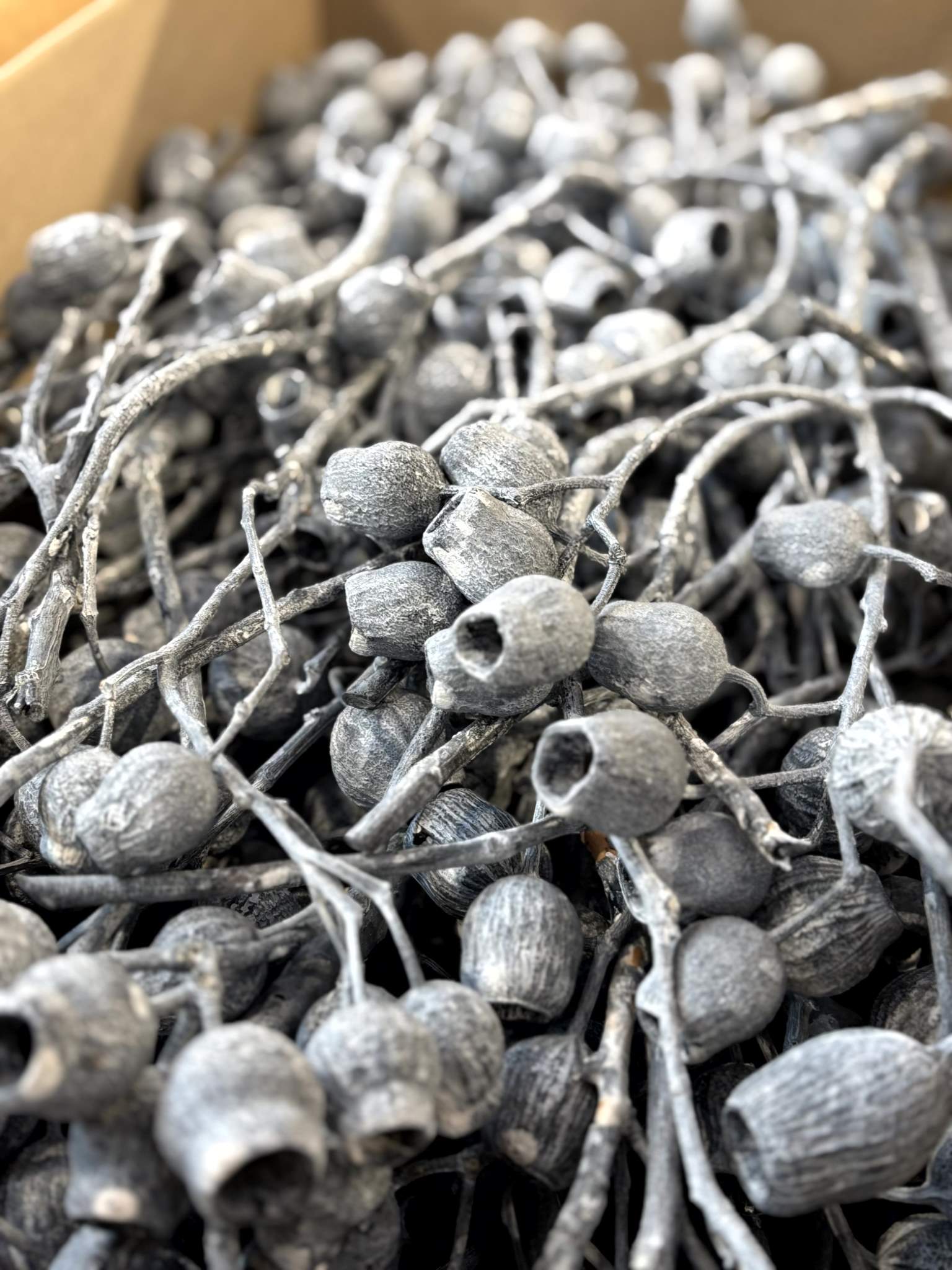 Bellgum-Zweige 5+ anthrazit gefrostet – Bild 3