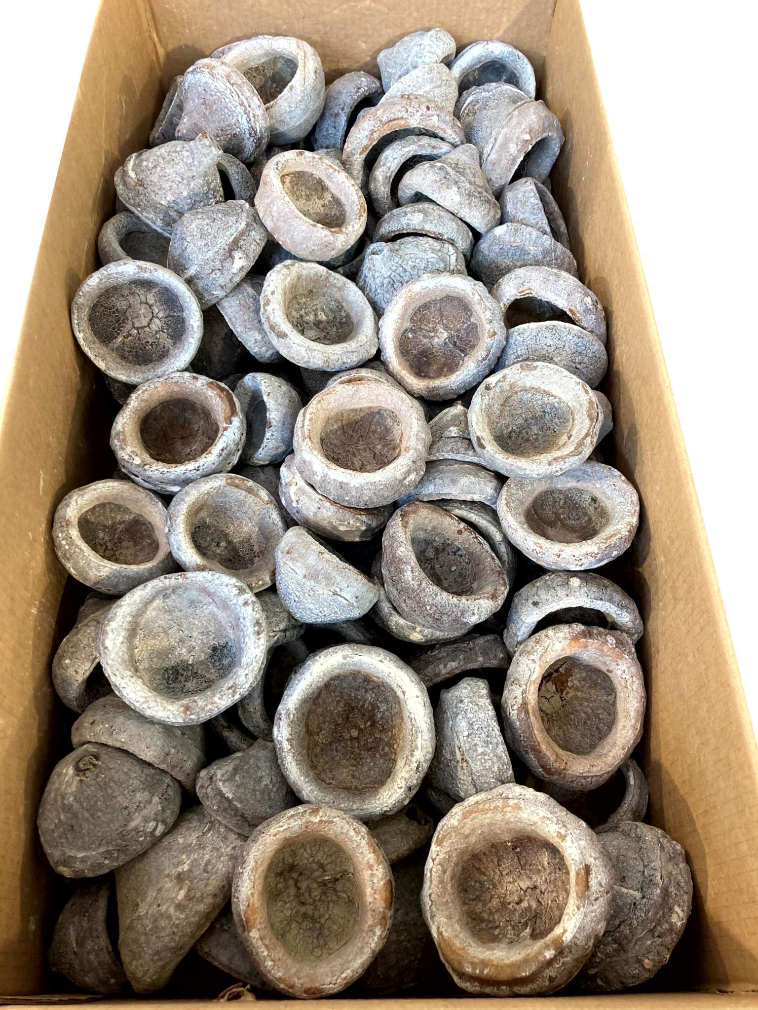 Chapeuzinho white-washed – Bild 2