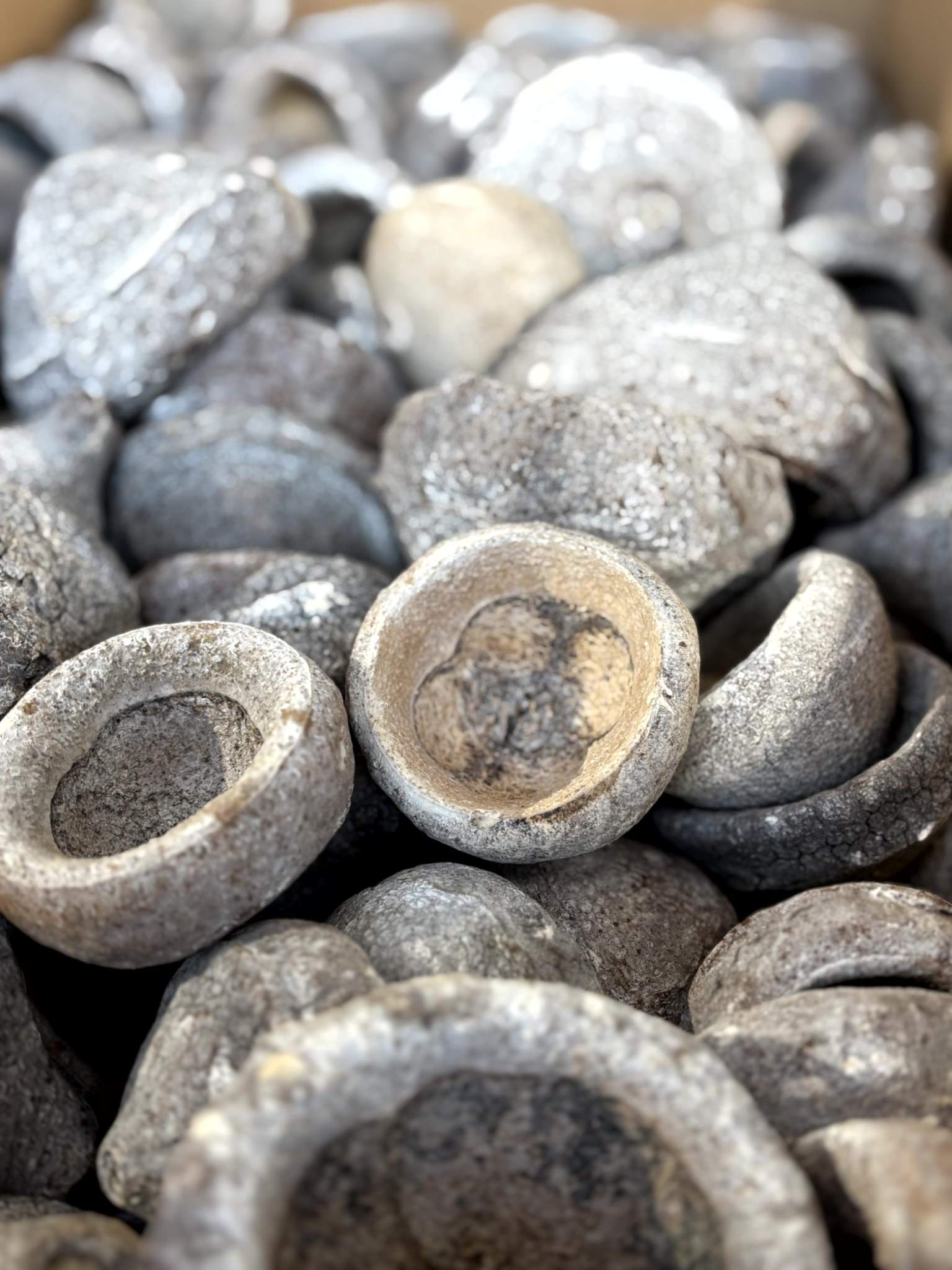 Chapeuzinho white-washed – Bild 3