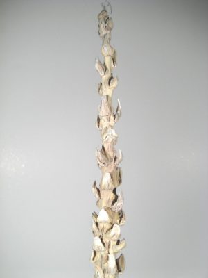 Coco Skelett groß gebleicht