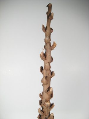 Coco Skelett groß natur