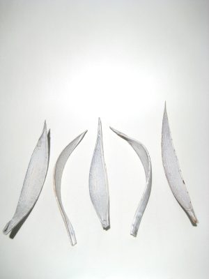 Cocosschalen mini white-washed