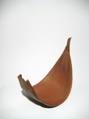 Galera Para klein natur