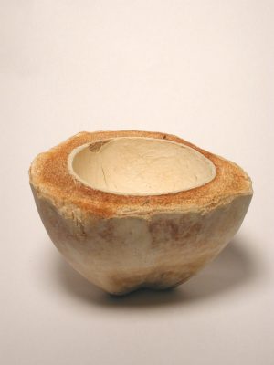 Kokosnuss Cup gebleicht