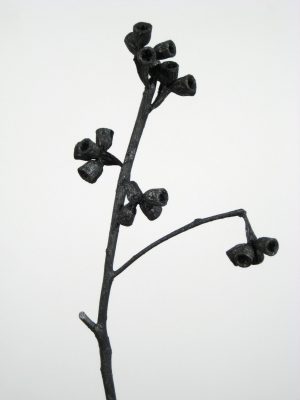 Kreuz-Eucalyptus anthrazit metallic