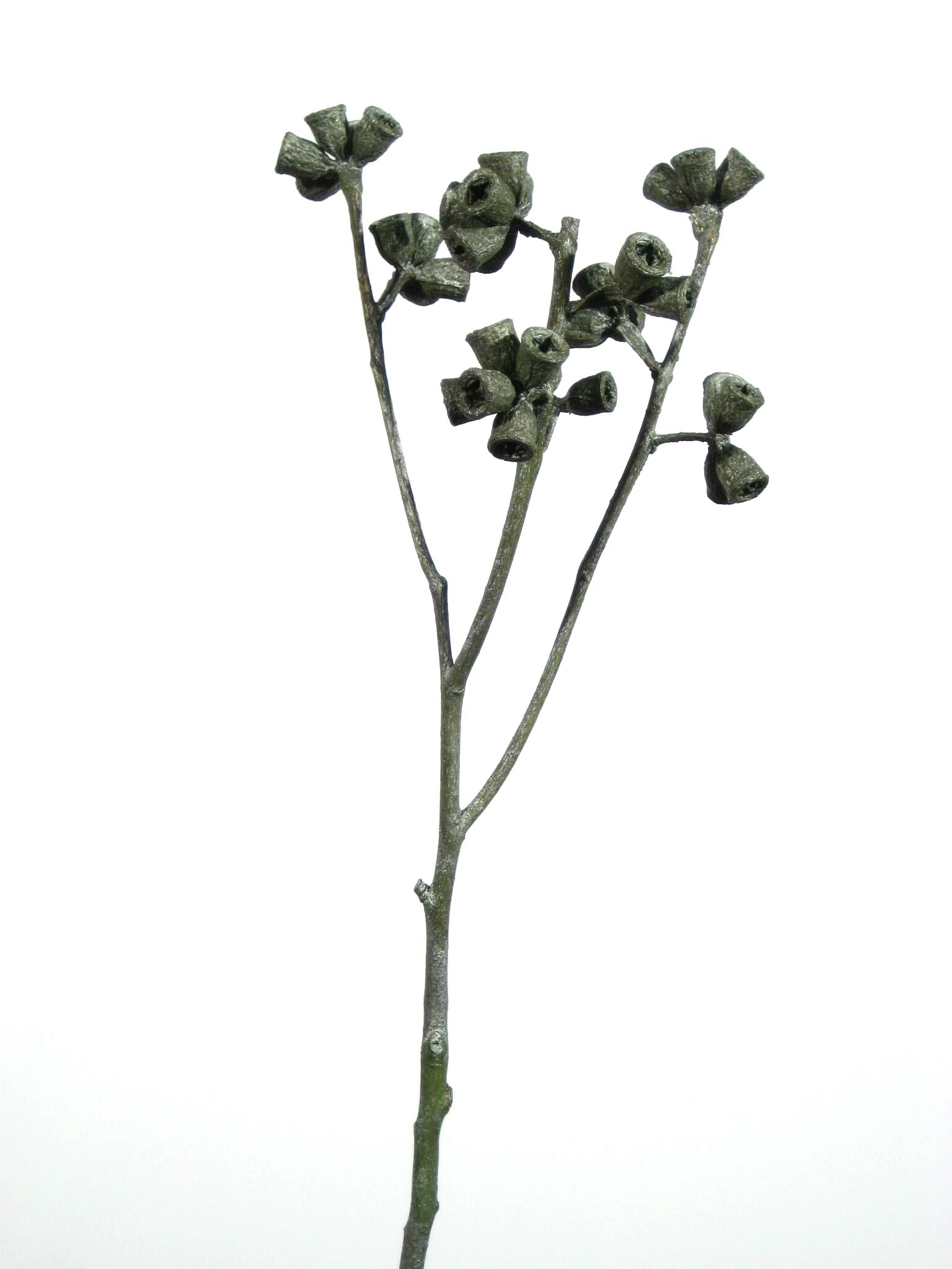 Kreuz-Eucalyptus grün metallic
