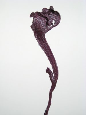 Natraj (Geweihholz) groß fuchsia metallic