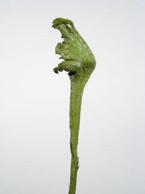 Natraj (Geweihholz) groß grün metallic