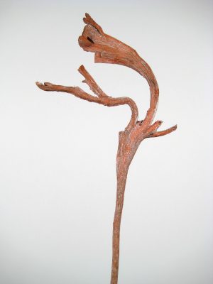 Natraj (Geweihholz) groß orange gefrostet