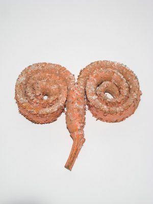 Palm Ring orange gefrostet