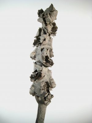 Palm Stick (Nußblütenstab) groß white-washed