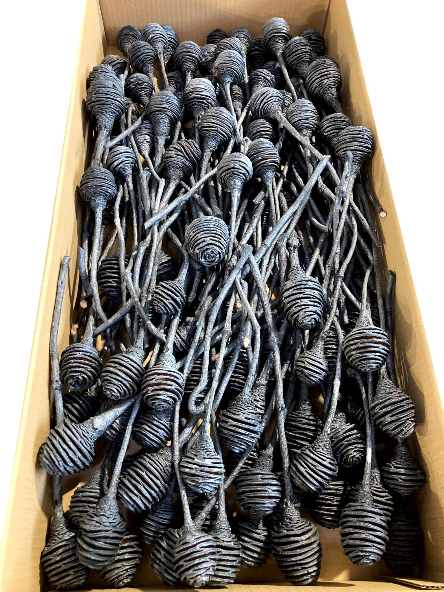 Platyspernum 1 Kopf anthrazit metallic – Bild 2