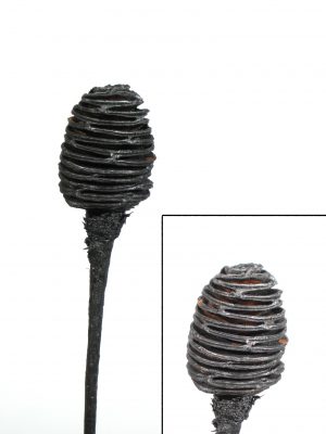 Platyspernum 1 Kopf anthrazit metallic