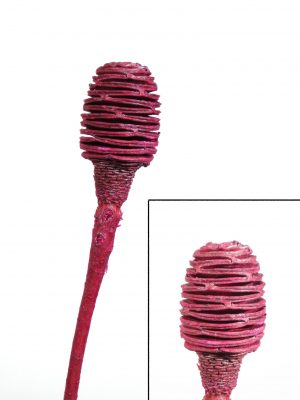 Platyspernum 1 Kopf erika metallic