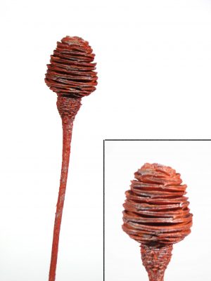 Platyspernum 1 Kopf orange metallic