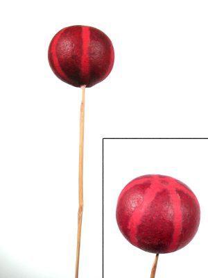 Pumpkin Bellani angestielt gefärbt