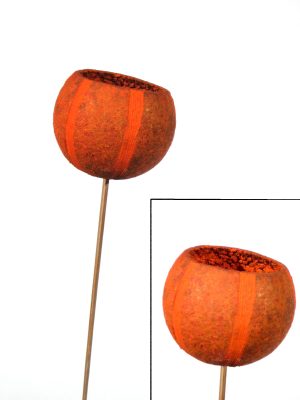 Pumpkin Bellcup angestielt gefärbt