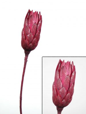 Repens erika metallic