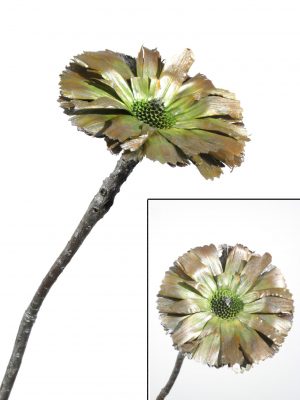 Rosette Repens 8-9cm grün metallic