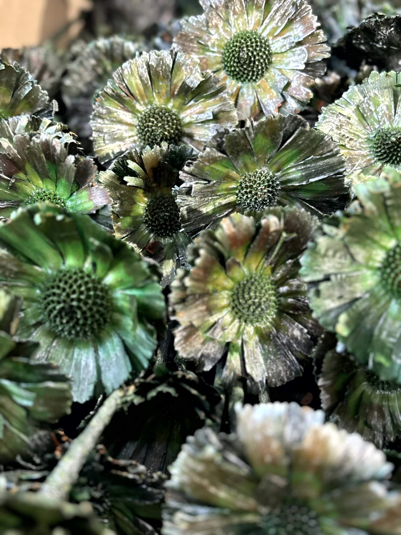 Rosette Repens 8-9cm grün metallic – Bild 3