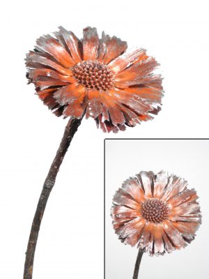 Rosette Repens 8-9cm orange metallic