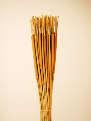 Schilfkolben dünn indisch natur