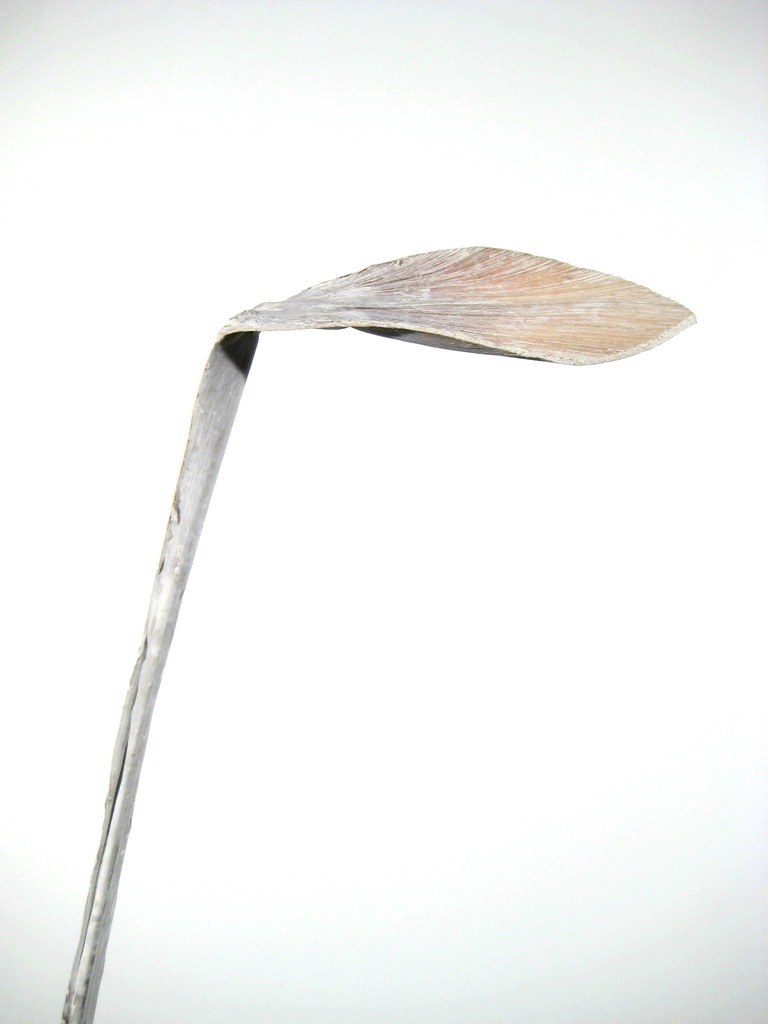 Shoe Horn extra groß white-washed