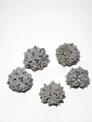 Spidergum Knob white-washed lose