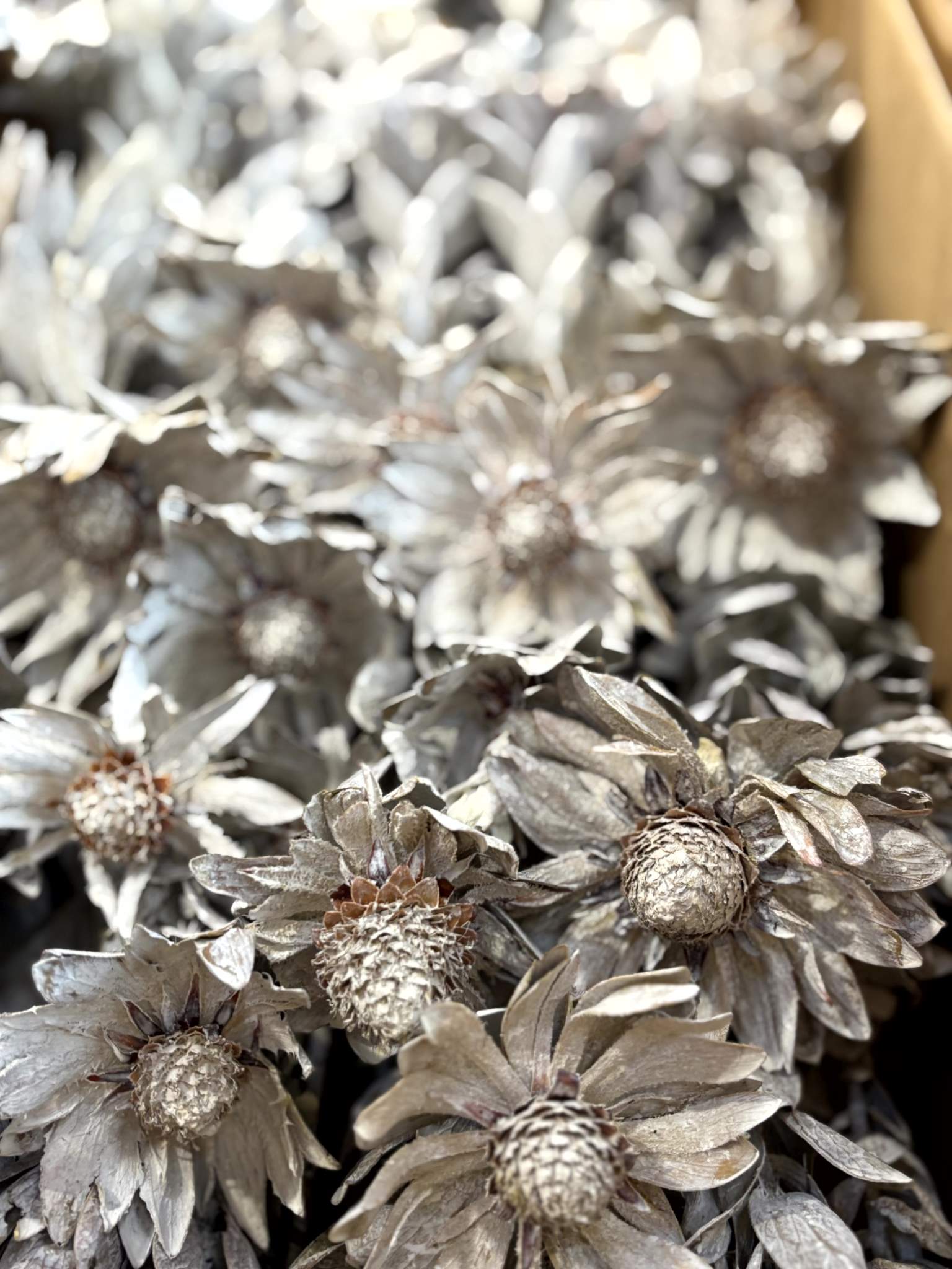 Vanosium white-washed – Bild 3