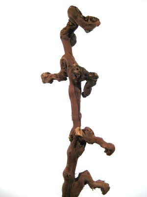 Weinstock 50-70cm naturbraun