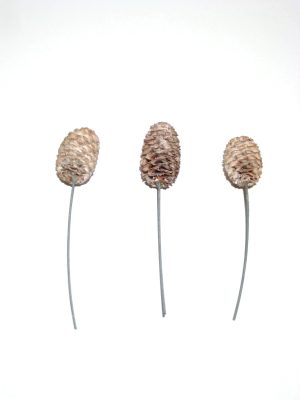 Sabulosum white-washed angedrahtet