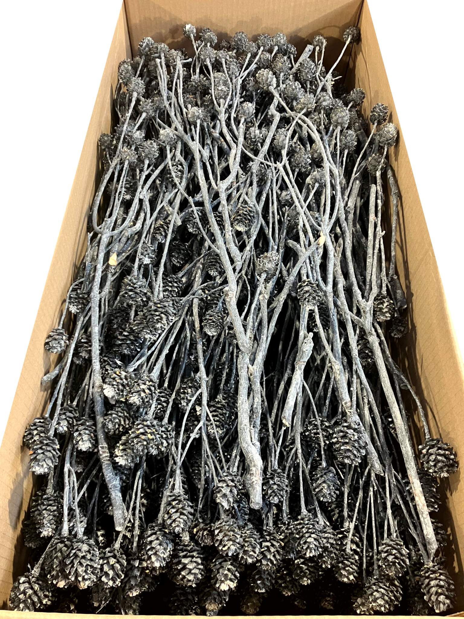 Salignum-Zweige anthrazit gefrostet – Bild 2