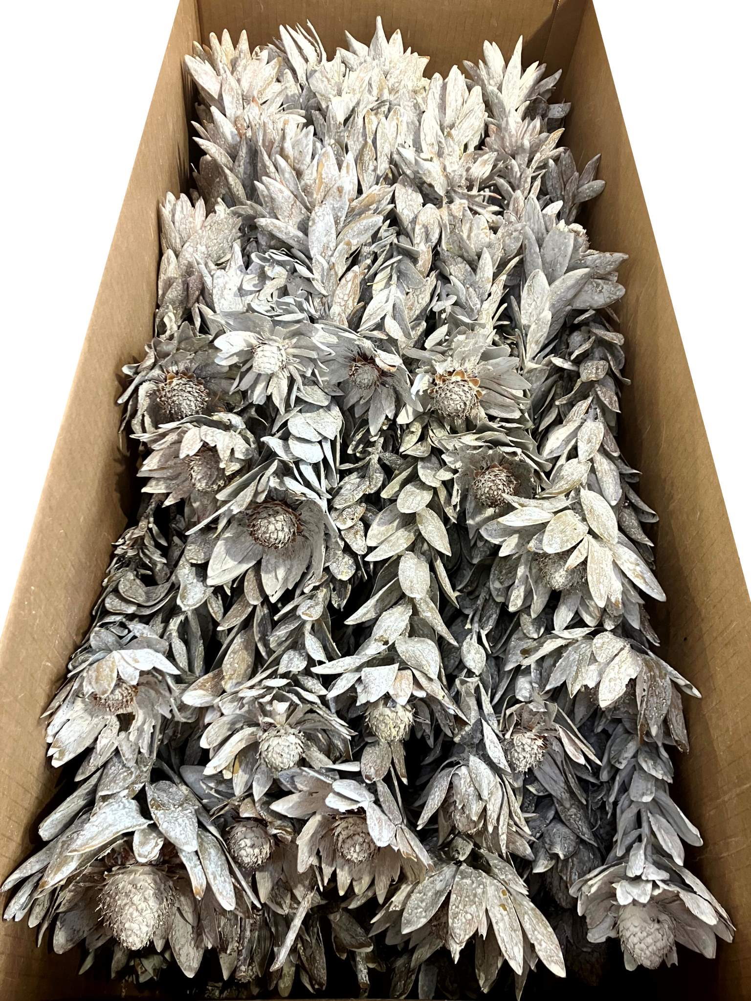 Vanosium white-washed – Bild 2