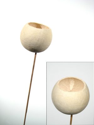 Bellcup angestielt gebleicht